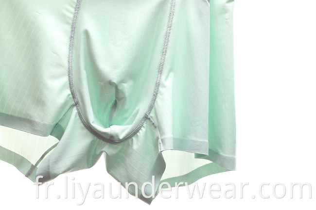 Anti-bacterial and Anti-odor Nylon Underwear